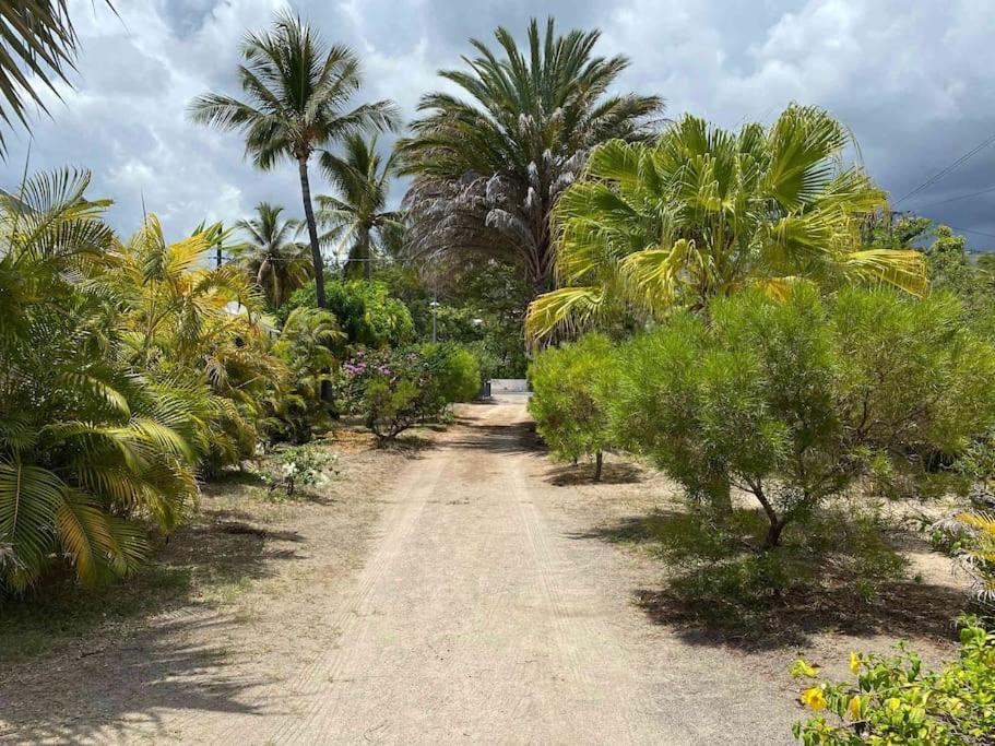 Villa Coco Des Sables Acces Direct Au Lagon La Saline Le Bains Dış mekan fotoğraf